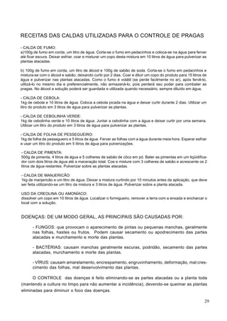 RECEITAS DAS CALDAS UTILIZADAS PARA O CONTROLE DE PRAGAS
- CALDA DE FUMO:
a)100g de fumo em corda, um litro de água. Corta-se o fumo em pedacinhos e coloca-se na água para ferver
até ficar escura. Deixar esfriar, coar e misturar um copo desta mistura em 10 litros de água para pulverizar as
plantas atacadas.
b) 100g de fumo em corda, um litro de álcool e 100g de sabão de soda. Corta-se o fumo em pedacinhos e
mistura-se com o álcool e sabão, deixando curtir por 2 dias. Coar e diluir um copo do produto para 15 litros de
água e pulverizar nas plantas atacadas. Como o fumo é volátil (se perde facilmente no ar), após fervê-lo,
utilizá-lo no mesmo dia e preferencialmente, não armazená-lo, pois perderá seu poder para combater as
pragas. No álcool a solução poderá ser guardada e utilizada quando necessário, sempre diluído em água.
- CALDA DE CEBOLA:
1kg de cebola e 10 litros de água. Coloca a cebola picada na água e deixar curtir durante 2 dias. Utilizar um
litro do produto em 3 litros de água para pulverizar as plantas.
- CALDA DE CEBOLINHA VERDE:
1kg de cebolinha verde e 10 litros de água. Juntar a cebolinha com a água e deixar curtir por uma semana.
Utilizar um litro do produto em 3 litros de água para pulverizar as plantas.
- CALDA DE FOLHA DE PESSEGUEIRO:
1kg de folha de pessegueiro e 5 litros de água. Ferver as folhas com a água durante meia hora. Esperar esfriar
e usar um litro do produto em 5 litros de água para pulverizações.
- CALDA DE PIMENTA:
500g de pimenta, 4 litros de água e 5 colheres de sabão de côco em pó. Bater as pimentas em um liqüidifica-
dor com dois litros de água até a maceração total. Coe e misture com 3 colheres de sabão e acrescente os 2
litros de água restantes. Pulverizar sobre as plantas atacadas.
- CALDA DE MANJERICÃO:
1kg de manjericão e um litro de água. Deixar a mistura curtindo por 10 minutos antes da aplicação, que deve
ser feita utilizando-se um litro da mistura e 3 litros de água. Pulverizar sobre a planta atacada.
USO DA CREOLINA OU AMONÍACO:
dissolver um copo em 10 litros de água. Localizar o formigueiro, remover a terra com a enxada e encharcar o
local com a solução.
DOENÇAS: DE UM MODO GERAL, AS PRINCIPAIS SÃO CAUSADAS POR:
- FUNGOS: que provocam o aparecimento de pintas ou pequenas manchas, geralmente
nas folhas, hastes ou frutos. Podem causar secamento ou apodrecimento das partes
atacadas e murchamento e morte das plantas.
- BACTÉRIAS: causam manchas geralmente escuras, podridão, secamento das partes
atacadas, murchamento e morte das plantas.
- VÍRUS: causam amarelamento, encrespamento, engruvinhamento, deformação, mal cres-
cimento das folhas, mal desenvolvimento das plantas.
O CONTROLE das doenças é feito eliminando-se as partes atacadas ou a planta toda
(mantendo a cultura no limpo para não aumentar a incidência), devendo-se queimar as plantas
eliminadas para diminuir o foco das doenças.
29
 