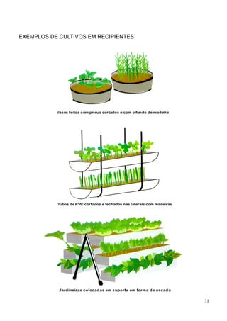 EXEMPLOS DE CULTIVOS EM RECIPIENTES
31
 