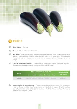 19
N
N
...
1 Berinjela
Nome popular – Berinjela
Nome científico - Solanum melongena L.
Descrição – É uma planta arbustiva, resistente e vigorosa. Produzem frutos roxo-escuros ou quase
negros. É rica em vitamina A, B1, B2, B5, C, potássio, fósforo, cloro, cálcio, sódio, ferro, magnésio
e enxofre. O plantio é realizado via semente, em bandejas com posterior transplantio para o
campo.
Época e regiões para plantio – É uma planta de clima quente, sendo favorecida pelo calor,
principalmente para a germinação, emergência e formação da muda.
ESPÉCIE
ÉPOCA MAIS RECOMENDADA PARA PLANTIO
INÍCIO DE COLHEITA
(após o plantio)
Sul Sudeste Nordeste Centro-Oeste Norte
Berinjela ago./jan. ago./mar. ano todo ago./fev. abr./ago. 100-120 dias
Recomendações de aproveitamento – Pode ser consumida cozida, em pratos frios ou quentes,
e frita à milanesa em fatias finas. Também pode ser ingrediente no preparo de patês, molhos,
recheada, omelete e muitos outros pratos. Seu suco é diurético, diminui o colesterol e reduz a
ação das gorduras sobre o fígado.
12
 
