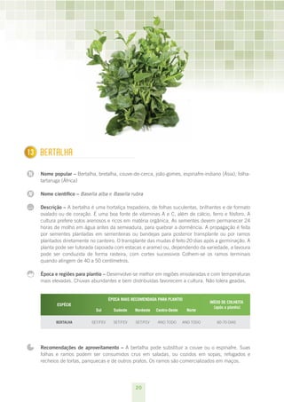 20
N
1
N
...
Bertalha
Nome popular – Bertalha, bretalha, couve-de-cerca, joão-gomes, espinafre-indiano (Ásia), folha-
tartaruga (África)
Nome científico – Basella alba e Basella rubra
Descrição – A bertalha é uma hortaliça trepadeira, de folhas suculentas, brilhantes e de formato
ovalado ou de coração. É uma boa fonte de vitaminas A e C, além de cálcio, ferro e fósforo. A
cultura prefere solos arenosos e ricos em matéria orgânica. As sementes devem permanecer 24
horas de molho em água antes da semeadura, para quebrar a dormência. A propagação é feita
por sementes plantadas em sementeiras ou bandejas para posterior transplante ou por ramos
plantados diretamente no canteiro. O transplante das mudas é feito 20 dias após a germinação. A
planta pode ser tutorada (apoiada com estacas e arame) ou, dependendo da variedade, a lavoura
pode ser conduzida de forma rasteira, com cortes sucessivos Colhem-se os ramos terminais
quando atingem de 40 a 50 centímetros.
Época e regiões para plantio – Desenvolve-se melhor em regiões ensolaradas e com temperaturas
mais elevadas. Chuvas abundantes e bem distribuídas favorecem a cultura. Não tolera geadas.
ESPÉCIE
ÉPOCA MAIS RECOMENDADA PARA PLANTIO
INÍCIO DE COLHEITA
(após o plantio)
Sul Sudeste Nordeste Centro-Oeste Norte
Bertalha set/fev set/fev set/fev ano todo ano todo 60-70 dias
Recomendações de aproveitamento – A bertalha pode substituir a couve ou o espinafre. Suas
folhas e ramos podem ser consumidos crus em saladas, ou cozidos em sopas, refogados e
recheios de tortas, panquecas e de outros pratos. Os ramos são comercializados em maços.
13
 