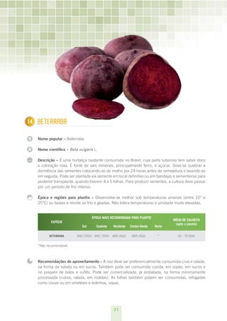 21
N
N
...
114 Beterraba
Nome popular – Beterraba
Nome científico – Beta vulgaris L.
Descrição – É uma hortaliça bastante consumida no Brasil, cuja parte tuberosa tem sabor doce
e coloração roxa. É fonte de sais minerais, principalmente ferro, e açúcar. Deve-se quebrar a
dormência das sementes colocando-as de molho por 24 horas antes da semeadura e lavando-as
em seguida. Pode ser plantada via semente em local definitivo ou em bandejas e sementeiras para
posterior transplante, quando tiverem 4 a 5 folhas. Para produzir sementes, a cultura deve passar
por um período de frio intenso.
Época e regiões para plantio – Desenvolve-se melhor sob temperaturas amenas (entre 15° e
25°C) ou baixas e resiste ao frio e geadas. Não tolera temperaturas e umidade muito elevadas.
ESPÉCIE 
ÉPOCA MAIS RECOMENDADA PARA PLANTIO
INÍCIO DE COLHEITA
(após o plantio)
Sul Sudeste Nordeste Centro-Oeste Norte
Beterraba ano todo ano todo abr./ago. abr./ago. * 60 - 70 dias
*Não recomendável.
Recomendações de aproveitamento – A raiz deve ser preferencialmente consumida crua e ralada,
na forma de salada ou em sucos. Também pode ser consumida cozida, em sopas, em sucos e
no preparo de bolos e suflês. Pode ser comercializada, já embalada, na forma minimamente
processada (cubos, ralada, em rodelas). As folhas também podem ser consumidas, refogadas
como couve ou em omeletes e bolinhos, sopas.
 