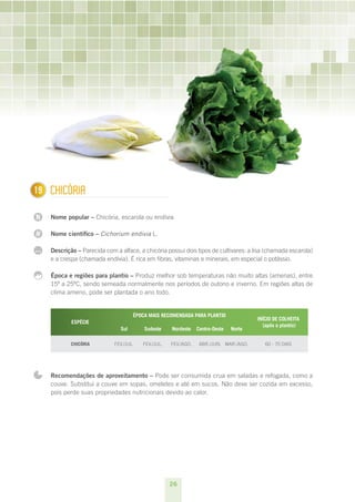 26
N
N
...
119 Chicória
Nome popular – Chicória, escarola ou endívia
Nome científico – Cichorium endivia L.
Descrição – Parecida com a alface, a chicória possui dois tipos de cultivares: a lisa (chamada escarola)
e a crespa (chamada endívia). É rica em fibras, vitaminas e minerais, em especial o potássio.
Época e regiões para plantio – Produz melhor sob temperaturas não muito altas (amenas), entre
15º a 25ºC, sendo semeada normalmente nos períodos de outono e inverno. Em regiões altas de
clima ameno, pode ser plantada o ano todo.
ESPÉCIE
ÉPOCA MAIS RECOMENDADA PARA PLANTIO
INÍCIO DE COLHEITA
(após o plantio)
Sul Sudeste Nordeste Centro-Oeste Norte
Chicória fev./jul. fev./jul. fev./ago. abr./jun. mar./ago. 60 - 70 dias
Recomendações de aproveitamento – Pode ser consumida crua em saladas e refogada, como a
couve. Substitui a couve em sopas, omeletes e até em sucos. Não deve ser cozida em excesso,
pois perde suas propriedades nutricionais devido ao calor.
 