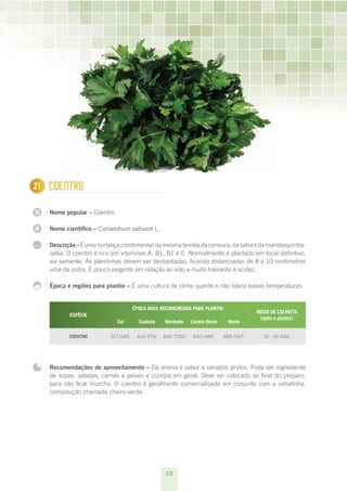 28
N
N
...
1 Coentro
Nome popular – Coentro
Nome científico – Coriandrum sativum L.
Descrição–É uma hortaliça condimentar da mesma família da cenoura, da salsa e da mandioquinha-
salsa. O coentro é rico em vitaminas A, B1, B2 e C. Normalmente é plantado em local definitivo,
via semente. As plantinhas devem ser desbastadas, ficando distanciadas de 8 a 10 centímetros
uma da outra. É pouco exigente em relação ao solo e muito tolerante à acidez.
Época e regiões para plantio – É uma cultura de clima quente e não tolera baixas temperaturas.
ESPÉCIE
ÉPOCA MAIS RECOMENDADA PARA PLANTIO
INÍCIO DE COLHEITA
(após o plantio)
Sul Sudeste Nordeste Centro-Oeste Norte
Coentro set./jan. ago./fev. ano todo ago./abr. abr./out. 50 - 60 dias
Recomendações de aproveitamento – Dá aroma e sabor a variados pratos. Pode ser ingrediente
de sopas, saladas, carnes e peixes e cozidos em geral. Deve ser colocado ao final do preparo,
para não ficar murcho. O coentro é geralmente comercializado em conjunto com a cebolinha,
composição chamada cheiro-verde.
21
 