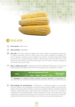 42
N
N
...
135 Milho-verde
Nome popular – Milho-verde.
Nome científico – Zea mays L.
Descrição – É o milho colhido em estágio ainda imaturo (verde). As espigas são verde-claras
e os grãos amarelados. Produz em vários tipos de solo, porém é exigente em adubação com
zinco e magnésio, devendo ser bem adubado. Essa cultura é uma ótima opção para rotação
de culturas com as demais hortaliças. Existem cultivares para colheita de milho-doce e para
colheita de milho-verde O milho-doce possui grãos ricos em açúcar, enquanto os grãos de
milho-verde são ricos em amido.
Época e regiões para plantio – Desenvolve-se bem em regiões de clima quente e ameno, sendo
prejudicada pelo frio e geada. Onde não há inverno rigoroso, pode ser plantado o ano todo.
ESPÉCIE
ÉPOCA MAIS RECOMENDADA PARA PLANTIO
INÍCIO DE COLHEITA
(após o plantio) 
Sul Sudeste Nordeste Centro-Oeste Norte
Milho-doce ago./fev. set./dez. out./mar. set./jan. mar./maio 80-110 dias
Recomendações de aproveitamento – O milho-doce e o milho-verde podem ser consumidos
cozidos ou assados, como ingredientes no recheio em pizzas e tortas, pastelões, cachorro-quente,
saladas, entre outros pratos. No Brasil, o milho-doce é predominantemente utilizado na forma de
conserva, sendo enviado para a agroindústria para ser enlatado. Por não ser rico em amido, o
milho-doce não é recomendado para o preparo de pamonha e curau. Já o milho-verde é muito
utilizado para o preparo de pratos típicos, como: pamonha, curau e cremes de milho. A vida pós-
colheita dos dois tipos de milho é bastante curta, devendo ser comercializado rapidamente.
 