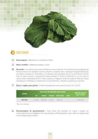 45
N
N
...
138 Mostarda
Nome popular – Mostarda ou mostarda de folhas
Nome científico – Brassica juncea (L.) Coss.
Descrição – A mostarda é da mesma família da couve e brócolis. Há cultivares para a produção de
folhas (consumo em saladas) e outras cultivares e espécies para a produção de grãos (fabricação
de molhos e temperos). Para folhas, as cultivares mais plantadas são a Lisa da Flórida e Lisa de
Irajá. O sabor picante é característico dessa hortaliça. É fonte de vitaminas C e A, de cálcio e
possui teores moderados de ferro, sódio, potássio e magnésio. O plantio pode ser feito por mudas
semeadas em bandejas ou diretamente no local definitivo, retirando as plantas em excesso.
Época e regiões para plantio – Prefere temperaturas mais amenas (entre 15° e 25°C).
ESPÉCIE
ÉPOCA MAIS RECOMENDADA PARA PLANTIO
INÍCIO DE COLHEITA
(após o plantio)
Sul Sudeste Nordeste Centro-Oeste Norte
Mostarda jul./dez. mar/ago fev./jul. mar./jul. * 45-50 dias
*Não recomendável.
Recomendações de aproveitamento – Suas folhas são vendidas em maços e podem ser
consumidas cruas ou refogadas. Tem uma vida pós-colheita bastante curta e deve ser rapidamente
comercializada após colhida.
 