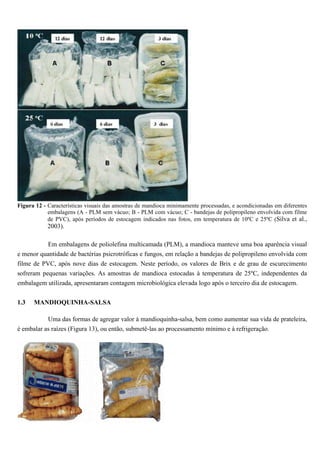 Figura 12 - Características visuais das amostras de mandioca minimamente processadas, e acondicionadas em diferentes
            embalagens (A - PLM sem vácuo; B - PLM com vácuo; C - bandejas de polipropileno envolvida com filme
            de PVC), após períodos de estocagem indicados nas fotos, em temperatura de 10ºC e 25ºC (Silva et al.,
            2003).

          Em embalagens de poliolefina multicamada (PLM), a mandioca manteve uma boa aparência visual
e menor quantidade de bactérias psicrotróficas e fungos, em relação a bandejas de polipropileno envolvida com
filme de PVC, após nove dias de estocagem. Neste período, os valores de Brix e de grau de escurecimento
sofreram pequenas variações. As amostras de mandioca estocadas à temperatura de 25ºC, independentes da
embalagem utilizada, apresentaram contagem microbiológica elevada logo após o terceiro dia de estocagem.

1.3   MANDIOQUINHA-SALSA

           Uma das formas de agregar valor à mandioquinha-salsa, bem como aumentar sua vida de prateleira,
é embalar as raízes (Figura 13), ou então, submetê-las ao processamento mínimo e à refrigeração.
 