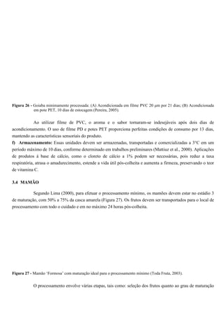 Figura 26 - Goiaba minimamente processada: (A) Acondicionada em filme PVC 20 µm por 21 dias; (B) Acondicionada
            em pote PET, 10 dias de estocagem (Pereira, 2005).


           Ao utilizar filme de PVC, o aroma e o sabor tornaram-se indesejáveis após dois dias de
acondicionamento. O uso de filme PD e potes PET proporciona perfeitas condições de consumo por 13 dias,
mantendo as características sensoriais do produto.
f) Armazenamento: Essas unidades devem ser armazenadas, transportadas e comercializadas a 3°C em um
período máximo de 10 dias, conforme determinado em trabalhos preliminares (Mattiuz et al., 2000). Aplicações
de produtos à base de cálcio, como o cloreto de cálcio a 1% podem ser necessárias, pois reduz a taxa
respiratória, atrasa o amadurecimento, estende a vida útil pós-colheita e aumenta a firmeza, preservando o teor
de vitamina C.

3.4 MAMÃO

           Segundo Lima (2000), para efetuar o processamento mínimo, os mamões devem estar no estádio 3
de maturação, com 50% a 75% da casca amarela (Figura 27). Os frutos devem ser transportados para o local de
processamento com todo o cuidado e em no máximo 24 horas pós-colheita.




Figura 27 - Mamão ‘Formosa’ com maturação ideal para o processamento mínimo (Toda Fruta, 2003).


           O processamento envolve várias etapas, tais como: seleção dos frutos quanto ao grau de maturação
 