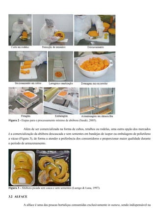 Figura 2 - Etapas para o processamento mínimo de abóbora (Sasaki, 2005).


            Além de ser comercializada na forma de cubos, retalhos ou rodelas, uma outra opção dos mercados
é a comercialização da abóbora descascada e sem sementes em bandejas de isopor ou embalagens de polietileno
a vácuo (Figura 3), de forma a atender a preferência dos consumidores e proporcionar maior qualidade durante
o período de armazenamento.




Figura 3 - Abóbora picada sem casca e sem sementes (Luengo & Lana, 1997).


3.2 ALFACE

            A alface é uma das poucas hortaliças consumidas exclusivamente in natura, sendo indispensável na
 