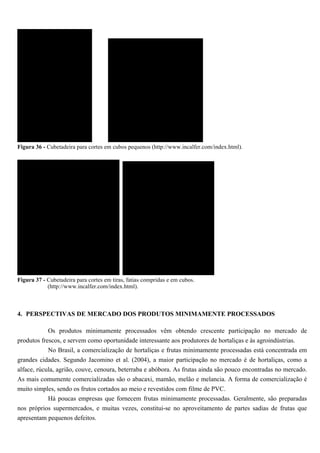 Figura 36 - Cubetadeira para cortes em cubos pequenos (http://www.incalfer.com/index.html).




Figura 37 - Cubetadeira para cortes em tiras, fatias compridas e em cubos.
            (http://www.incalfer.com/index.html).



4. PERSPECTIVAS DE MERCADO DOS PRODUTOS MINIMAMENTE PROCESSADOS

            Os produtos minimamente processados vêm obtendo crescente participação no mercado de
produtos frescos, e servem como oportunidade interessante aos produtores de hortaliças e às agroindústrias.
            No Brasil, a comercialização de hortaliças e frutas minimamente processadas está concentrada em
grandes cidades. Segundo Jacomino et al. (2004), a maior participação no mercado é de hortaliças, como a
alface, rúcula, agrião, couve, cenoura, beterraba e abóbora. As frutas ainda são pouco encontradas no mercado.
As mais comumente comercializadas são o abacaxi, mamão, melão e melancia. A forma de comercialização é
muito simples, sendo os frutos cortados ao meio e revestidos com filme de PVC.
           Há poucas empresas que fornecem frutas minimamente processadas. Geralmente, são preparadas
nos próprios supermercados, e muitas vezes, constitui-se no aproveitamento de partes sadias de frutas que
apresentam pequenos defeitos.
 