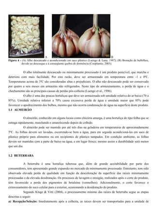 A                                                    B
Figura 4 - (A) Alho descascado e acondicionado em saco plástico (Luengo & Lana, 1997); (B) Brotação de bulbilhos,
           devido ao descasque e à conseqüente quebra de dormência (Cooplantio, 2003).


           O alho totalmente descascado ou minimamente processado é um produto perecível, que murcha e
deteriora com mais facilidade. Por esta razão, deve ser armazenado em temperatura entre -1 e 0ºC.
Temperaturas acima de 3ºC são consideradas altas e prejudiciais. O alho não descascado pode ser conservado
por quatro a seis meses em armazéns não refrigerados. Neste tipo de armazenamento, a perda de água e o
chochamento são as principais causas de perdas pós-colheita (Luengo et al., 1996).
          O alho é uma das poucas hortaliças que deve ser armazenada sob umidade relativa do ar baixa (70 a
85%). Umidade relativa inferior a 70% causa excessiva perda de água e umidade maior que 85% pode
favorecer o apodrecimento dos bulbos, mesmo que não ocorra condensação de água na superfície deste produto.
1.1 ALMEIRÃO

           O almeirão, conhecido em alguns locais como chicória amarga, é uma hortaliça do tipo folha que se
estraga rapidamente, murchando e amarelecendo depois de colhido.
            O almeirão pode ser mantido por até três dias na geladeira em temperaturas de aproximadamente
5ºC. As folhas devem ser lavadas, escorrendo-se bem a água, para em seguida acondicioná-las em saco de
plástico próprio para alimentos ou em recipientes de plástico tampados. Em condição ambiente, as folhas
devem ser mantidas com a parte de baixo na água, e em lugar fresco; mesmo assim a durabilidade será menor
que um dia.


1.2 BETERRABA

           A beterraba é uma hortaliça tuberosa que, além de grande aceitabilidade por parte dos
consumidores, tem apresentado grande expansão no mercado de minimamente processado. Entretanto, tem sido
observada elevada perda de qualidade em função da descoloração da superfície das raízes minimamente
processadas e da elevada desidratação. Os processos de lavagem e enxágüe, realizados após o corte do produto,
têm favorecido a perda dos pigmentos de betalaína (vermelhos). Adicionalmente, o corte favorece o
extravasamento do suco celular para o exterior, ocasionando a desidratação do produto.
             Segundo Kluge & Vitti (2004), o processamento mínimo das raízes de beterraba segue as etapas
descritas a seguir:
a) Recepção/Seleção: Imediatamente após a colheita, as raízes devem ser transportadas para a unidade de
 