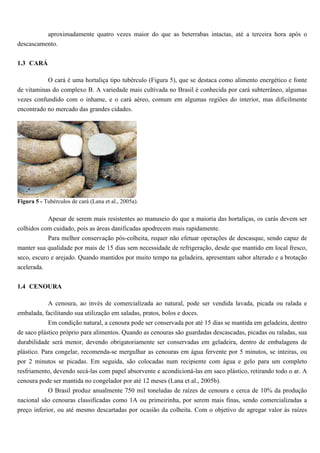 aproximadamente quatro vezes maior do que as beterrabas intactas, até a terceira hora após o
descascamento.


1.3 CARÁ

           O cará é uma hortaliça tipo tubérculo (Figura 5), que se destaca como alimento energético e fonte
de vitaminas do complexo B. A variedade mais cultivada no Brasil é conhecida por cará subterrâneo, algumas
vezes confundido com o inhame, e o cará aéreo, comum em algumas regiões do interior, mas dificilmente
encontrado no mercado das grandes cidades.




Figura 5 - Tubérculos de cará (Lana et al., 2005a).

           Apesar de serem mais resistentes ao manuseio do que a maioria das hortaliças, os carás devem ser
colhidos com cuidado, pois as áreas danificadas apodrecem mais rapidamente.
           Para melhor conservação pós-colheita, requer não efetuar operações de descasque, sendo capaz de
manter sua qualidade por mais de 15 dias sem necessidade de refrigeração, desde que mantido em local fresco,
seco, escuro e arejado. Quando mantidos por muito tempo na geladeira, apresentam sabor alterado e a brotação
acelerada.


1.4 CENOURA

            A cenoura, ao invés de comercializada ao natural, pode ser vendida lavada, picada ou ralada e
embalada, facilitando sua utilização em saladas, pratos, bolos e doces.
            Em condição natural, a cenoura pode ser conservada por até 15 dias se mantida em geladeira, dentro
de saco plástico próprio para alimentos. Quando as cenouras são guardadas descascadas, picadas ou raladas, sua
durabilidade será menor, devendo obrigatoriamente ser conservadas em geladeira, dentro de embalagens de
plástico. Para congelar, recomenda-se mergulhar as cenouras em água fervente por 5 minutos, se inteiras, ou
por 2 minutos se picadas. Em seguida, são colocadas num recipiente com água e gelo para um completo
resfriamento, devendo secá-las com papel absorvente e acondicioná-las em saco plástico, retirando todo o ar. A
cenoura pode ser mantida no congelador por até 12 meses (Lana et al., 2005b).
           O Brasil produz anualmente 750 mil toneladas de raízes de cenoura e cerca de 10% da produção
nacional são cenouras classificadas como 1A ou primeirinha, por serem mais finas, sendo comercializadas a
preço inferior, ou até mesmo descartadas por ocasião da colheita. Com o objetivo de agregar valor às raízes
 