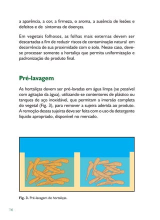 a aparência, a cor, a firmeza, o aroma, a ausência de lesões e
     defeitos e de sintomas de doenças.

     Em vegetais folhosos, as folhas mais externas devem ser
     descartadas a fim de reduzir riscos de contaminação natural em
     decorrência de sua proximidade com o solo. Nesse caso, deve-
     se processar somente a hortaliça que permita uniformização e
     padronização do produto final.



     Pré-lavagem
     As hortaliças devem ser pré-lavadas em água limpa (se possível
     com agitação da água), utilizando-se contentores de plástico ou
     tanques de aço inoxidável, que permitam a imersão completa
     do vegetal (Fig. 3), para remover a sujeira aderida ao produto.
     A remoção dessas sujeiras deve ser feita com o uso de detergente
     líquido apropriado, disponível no mercado.




     Fig. 3. Pré-lavagem de hortaliças.


16
 