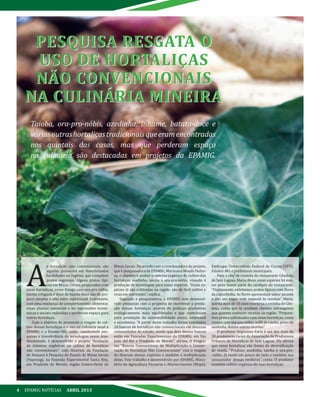 4 EPAMIG NOTÍCIAS ABRIL 2013
Taioba, ora-pro-nóbis, azedinha, inhame, batata-doce e
váriasoutrashortaliçastradicionaisqueeramencontradas
nos quintais das casas, mas que perderam espaço
na culinária são destacadas em projetos da EPAMIG.
PESQUISA RESGATA O
USO DE HORTALIÇAS
NÃO CONVENCIONAIS
NA CULINÁRIA MINEIRA
PESQUISA RESGATA O
USO DE HORTALIÇAS
NÃO CONVENCIONAIS
NA CULINÁRIA MINEIRA
A
s hortaliças não convencionais são
aquelas presentes em determinadas
localidades ou regiões, que compõem
pratos regionais. Alguns pratos típi-
cos em Minas Gerais, preparados com
essas hortaliças, como frango com ora-pro-nóbis,
taioba refogada e doce de batata-doce são de pre-
paro simples e alto valor nutricional. Entretanto,
com uma mudança de comportamento alimentar,
essas plantas passaram a ter expressões econô-
micas e sociais reduzidas e perderam espaço para
outras hortaliças.
Com o objetivo de promover o resgate do cul-
tivo dessas hortaliças e o uso na culinária atual a
EPAMIG e a Emater-MG, estão conduzindo pes-
quisas e transferência de tecnologias nessa área.
Atualmente, é desenvolvido o projeto “Avaliação
de sistemas orgânicos no cultivo de hortaliças
não convencionais”, com recursos da Fundação
de Amparo à Pesquisa do Estado de Minas Gerais
(Fapemig), na Fazenda Experimental Santa Rita,
em Prudente de Morais, região Centro-Oeste de
Minas Gerais. De acordo com a coordenadora do projeto,
que é pesquisadora da EPAMIG, Marinalva Woods Pedro-
sa, o objetivo é avaliar o sistema orgânico de cultivo das
hortaliças azedinha, taioba e ora-pro-nóbis, visando à
produção de tecnologias para essas espécies. “Essas es-
pécies já são cultivadas na região, são de fácil cultivo e
ricas em nutrientes”, explica.
Segundo a pesquisadora, a EPAMIG tem desenvol-
vido pesquisas com a proposta de incentivar a produ-
ção dessas hortaliças através de práticas produtivas
ecologicamente mais equilibradas e que contribuam
para promoção da sustentabilidade social, ambiental
e econômica. “A partir desse trabalho foram instalados
26 bancos de hortaliças não convencionais em diversas
comunidades do estado, sendo que dois desses bancos
estão em Fazendas Experimentais da EPAMIG, em São
João del-Rei e Prudente de Morais”, afirma. O Progra-
ma “Bancos Comunitários de Multiplicação e Conser-
vação de Hortaliças Não Convencionais” visa o resgate
de diversas dessas espécies e também a multiplicação
delas. Este trabalho é desenvolvido por EPAMIG, Minis-
tério da Agricultura Pecuária e Abastecimento (Mapa),
Embrapa, Universidade Federal de Viçosa (UFV),
Emater-MG e prefeituras municipais.
Para a chef de cozinha do restaurante Gôndola,
de Sete Lagoas, Maria Alves, essas espécies há mui-
tos anos fazem parte do cardápio do restaurante.
“Diariamente, enfeitamos pratos típicos com flores
da capuchinha. As flores apresentam sabor picante
e dão um toque todo especial às receitas”. Maria,
que há mais de 10 anos coordena a cozinha do Gôn-
dola, conta que lá recebem clientes estrangeiros
que querem conhecer receitas da região. “Prepara-
mos pratos sofisticados com essas hortaliças, como
risotos com ora-pro-nóbis, suflê de taioba, pesto de
azedinha, dentre outras receitas”.
O produtor Argentino Faria é um dos mais de
30 produtores rurais da Associação de Produtores
Urbanos de Hortaliças de Sete Lagoas. Ele afirma
que essas hortaliças são fontes de diversificação
de renda. “Produzo azedinha, taioba e ora-pro-
-nóbis. Já vendi um pouco de tudo e também sou
consumidor dessas verduras”, conta. O produtor
mantém cultivo orgânico de suas hortaliças.
 