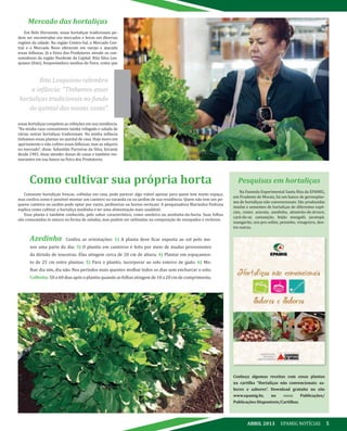00ABRIL 2013 EPAMIG NOTÍCIAS 5
Mercado das hortaliças
Em Belo Horizonte, essas hortaliças tradicionais po-
dem ser encontradas em mercados e feiras em diversas
regiões da cidade. Na região Centro-Sul, o Mercado Cen-
tral e o Mercado Novo oferecem em varejo e atacado
essas folhosas. Já a Feira dos Produtores atende os con-
sumidores da região Nordeste da Capital. Rita Silva Los-
quiano (foto), frequentadora assídua da Feira, conta que
essas hortaliças compõem as refeições em sua residência.
“Na minha casa consumimos taioba refogada e salada de
várias outras hortaliças tradicionais. Na minha infância
tínhamos essas plantas no quintal de casa. Hoje moro em
apartamento e não cultivo essas folhosas, mas as adquiro
no mercado”, disse. Sebastião Parreiras da Silva, feirante
desde 1981, disse atender donas de casas e também res-
taurantes em sua banca na Feira dos Produtores.
Pesquisas em hortaliças
Na Fazenda Experimental Santa Rita da EPAMIG,
em Prudente de Morais, há um banco de germoplas-
ma de hortaliças não convencionais. São produzidas
mudas e sementes de hortaliças de diferentes espé-
cies, como: araruta, azedinha, almeirão-de-árvore,
cará-do-ar, cansanção, feijão mangalô, jacatupé,
mangarito, ora-pro-nóbis, peixinho, vinagreira, den-
tre outras.
Conheça algumas receitas com essas plantas
na cartilha “Hortaliças não convencionais: sa-
beres e sabores”. Download gratuito no site
www.epamig.br, no menu Publicações/
Publicações Disponíveis/Cartilhas.
Como cultivar sua própria horta
Consumir hortaliças frescas, colhidas em casa, pode parecer algo viável apenas para quem tem muito espaço,
mas confira como é possível montar um canteiro na varanda ou no jardim de sua residência. Quem não tem um pe-
queno canteiro no jardim pode optar por vasos, jardineiras ou hortas verticais. A pesquisadora Marinalva Pedrosa
explica como cultivar a hortaliça azedinha e ter uma alimentação mais saudável.
Essa planta é também conhecida, pelo sabor característico, como azedeira ou azedinha-da-horta. Suas folhas
são consumidas in natura na forma de saladas, mas podem ser utilizadas na composição de ensopados e recheios.
Azedinha Confira as orientações: 1) A planta deve ficar exposta ao sol pelo me-
nos uma parte do dia; 3) O plantio em canteiros é feito por meio de mudas provenientes
da divisão de touceiras. Elas atingem cerca de 20 cm de altura; 4) Plantar em espaçamen-
to de 25 cm entre plantas; 5) Para o plantio, incorporar ao solo esterco de gado; 6) Mo-
lhar dia sim, dia não. Nos períodos mais quentes molhar todos os dias sem encharcar o solo;
Colheita: 50 a 60 dias após o plantio quando as folhas atingem de 10 a 20 cm de comprimento.
Rita Losquiano relembra
a infância: “Tínhamos essas
hortaliças tradicionais no fundo
do quintal das nossas casas”.
 