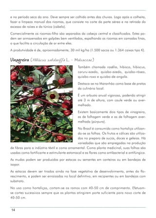 14
e no período seco do ano. Deve sempre ser colhido antes das chuvas. Logo após a colheita,
fazer a limpeza manual dos rizomas, que consiste no corte da parte aérea e na retirada do
excesso de raízes e da túnica (cabelo).
Comercialmente os rizomas-filho são separados da cabeça central e classificados. Estes po-
dem ser armazenados em galpões bem ventilados, espalhando os rizomas em camadas finas,
o que facilita a circulação de ar entre eles.
A produtividade é de, aproximadamente, 30 mil kg/ha (1.500 sacos ou 1.364 caixas tipo K).
Vinagreira (Hibiscus sabdariffa L. - Malvaceae)
Também chamada rosélia, hibisco, hibiscus,
caruru-azedo, quiabo-azedo, quiabo-róseo,
quiabo-roxo e quiabo-de-angola.
Destaca-se no Maranhão como base de pratos
da culinária local.
É um arbusto anual vigoroso, podendo atingir
até 3 m de altura, com caule verde ou aver-
melhado.
Existem basicamente dois tipos de vinagreira,
as de folhagem verde e as de folhagem aver-
melhada (púrpura).
No Brasil é consumida como hortaliça utilizan-
do-se as folhas. Os frutos e cálices são utiliza-
dos no preparo de sucos, doces e geleias. Há
variedades que são empregadas na produção
de fibras para a indústria têxtil e como ornamental. Como planta medicinal, suas folhas são
usadas como fortificante e estimulante estomacal e as flores como antibacterial e antifúngica.
As mudas podem ser produzidas por estacas ou sementes em canteiros ou em bandejas de
isopor.
As estacas devem ser tiradas ainda na fase vegetativa de desenvolvimento, antes do flo-
rescimento, e podem ser enraizadas no local definitivo, em recipientes ou em bandejas com
substrato.
No uso como hortaliças, cortam-se os ramos com 40-50 cm de comprimento. Efetuam-
se cortes sucessivos sempre que as plantas atingirem porte suficiente para novo corte de
40-50 cm.
 