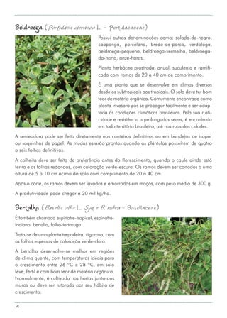 4
Beldroega (Portulaca oleracea L. - Portulacaceae)
Possui outras denominações como: salada-de-negro,
caaponga, porcelana, bredo-de-porco, verdolaga,
beldroega-pequena, beldroega-vermelha, beldroega-
da-horta, onze-horas.
Planta herbácea prostrada, anual, suculenta e ramifi-
cada com ramos de 20 a 40 cm de comprimento.
É uma planta que se desenvolve em climas diversos
desde os subtropicais aos tropicais. O solo deve ter bom
teor de matéria orgânica. Comumente encontrada como
planta invasora por se propagar facilmente e ser adap-
tada às condições climáticas brasileiras. Pela sua rusti-
cidade e resistência a prolongadas secas, é encontrada
em todo território brasileiro, até nas ruas das cidades.
A semeadura pode ser feita diretamente nos canteiros definitivos ou em bandejas de isopor
ou saquinhos de papel. As mudas estarão prontas quando as plântulas possuírem de quatro
a seis folhas definitivas.
A colheita deve ser feita de preferência antes do florescimento, quando o caule ainda está
tenro e as folhas redondas, com coloração verde-escura. Os ramos devem ser cortados a uma
altura de 5 a 10 cm acima do solo com comprimento de 20 a 40 cm.
Após o corte, os ramos devem ser lavados e amarrados em maços, com peso médio de 300 g.
A produtividade pode chegar a 20 mil kg/ha.
Bertalha (Basella alba L. Syn e B. rubra - Basellaceae)
É também chamada espinafre-tropical, espinafre-
indiano, bertalia, folha-tartaruga.
Trata-se de uma planta trepadeira, vigorosa, com
as folhas espessas de coloração verde-clara.
A bertalha desenvolve-se melhor em regiões
de clima quente, com temperaturas ideais para
o crescimento entre 26 ºC e 28 ºC, em solo
leve, fértil e com bom teor de matéria orgânica.
Normalmente, é cultivada nas hortas junto aos
muros ou deve ser tutorada por seu hábito de
crescimento.
 