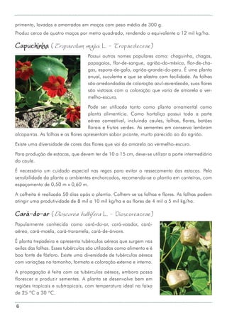 6
primento, lavados e amarrados em maços com peso médio de 300 g.
Produz cerca de quatro maços por metro quadrado, rendendo o equivalente a 12 mil kg/ha.
Capuchinha (Tropaeolum majus L. - Tropaeoleceae)
Possui outros nomes populares como: chaguinha, chagas,
papagaios, flor-de-sangue, agrião-do-méxico, flor-de-cha-
gas, espora-de-galo, agrião-grande-do-peru. É uma planta
anual, suculenta e que se alastra com facilidade. As folhas
são arredondadas de coloração azul-esverdeada, suas flores
são vistosas com a coloração que varia de amarela a ver-
melho-escura.
Pode ser utilizada tanto como planta ornamental como
planta alimentícia. Como hortaliça possui toda a parte
aérea comestível, incluindo caules, folhas, flores, botões
florais e frutos verdes. As sementes em conserva lembram
alcaparras. As folhas e as flores apresentam sabor picante, muito parecido ao do agrião.
Existe uma diversidade de cores das flores que vai do amarelo ao vermelho-escuro.
Para produção de estacas, que devem ter de 10 a 15 cm, deve-se utilizar a parte intermediária
do caule.
É necessário um cuidado especial nas regas para evitar o ressecamento das estacas. Pela
sensibilidade da planta a ambientes encharcados, recomenda-se o plantio em canteiros, com
espaçamento de 0,50 m x 0,60 m.
A colheita é realizada 50 dias após o plantio. Colhem-se as folhas e flores. As folhas podem
atingir uma produtividade de 8 mil a 10 mil kg/ha e as flores de 4 mil a 5 mil kg/ha.
Cará-do-ar (Dioscorea bulbifera L. - Dioscoreaceae)
Popularmente conhecido como cará-do-ar, cará-voador, cará-
aéreo, cará-moela, cará-traramela, cará-de-árvore.
É planta trepadeira e apresenta tubérculos aéreos que surgem nas
axilas das folhas. Esses tubérculos são utilizados como alimento e é
boa fonte de fósforo. Existe uma diversidade de tubérculos aéreos
com variações no tamanho, formato e coloração externa e interna.
A propagação é feita com os tubérculos aéreos, embora possa
florescer e produzir sementes. A planta se desenvolve bem em
regiões tropicais e subtropicais, com temperatura ideal na faixa
de 25 ºC a 30 ºC.
 