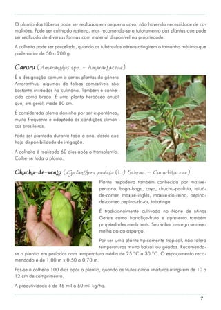 7
O plantio das túberas pode ser realizado em pequena cova, não havendo necessidade de ca-
malhões. Pode ser cultivado rasteiro, mas recomenda-se o tutoramento das plantas que pode
ser realizado de diversas formas com material disponível na propriedade.
A colheita pode ser parcelada, quando os tubérculos aéreos atingirem o tamanho máximo que
pode variar de 50 a 200 g.
Caruru (Amaranthus spp. - Amarantaceae)
É a designação comum a certas plantas do gênero
Amaranthus, algumas de folhas comestíveis são
bastante utilizadas na culinária. Também é conhe-
cida como bredo. É uma planta herbácea anual
que, em geral, mede 80 cm.
É considerada planta daninha por ser espontânea,
muito frequente e adaptada às condições climáti-
cas brasileiras.
Pode ser plantada durante todo o ano, desde que
haja disponibilidade de irrigação.
A colheita é realizada 60 dias após o transplantio.
Colhe-se toda a planta.
Chuchu-de-vento (Cyclanthera pedata (L.) Schrad. - Cucurbitaceae)
Planta trepadeira também conhecida por maxixe-
peruano, boga-boga, cayo, chuchu-paulista, taiuá-
de-comer, maxixe-inglês, maxixe-do-reino, pepino-
de-comer, pepino-do-ar, tabatinga.
É tradicionalmente cultivada no Norte de Minas
Gerais como hortaliça-fruto e apresenta também
propriedades medicinais. Seu sabor amargo se asse-
melha ao do aspargo.
Por ser uma planta tipicamente tropical, não tolera
temperaturas muito baixas ou geadas. Recomenda-
se o plantio em períodos com temperatura média de 25 ºC a 30 ºC. O espaçamento reco-
mendado é de 1,00 m x 0,50 a 0,70 m.
Faz-se a colheita 100 dias após o plantio, quando os frutos ainda imaturos atingirem de 10 a
12 cm de comprimento.
A produtividade é de 45 mil a 50 mil kg/ha.
 