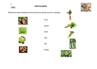 HORTALISSES


Relaciona cada hortalissa amb la part de la planta que ens mengem



                                            Fruit


                                            Llavor


                                            Arrel


                                            Tija


                                            Flor


                                            Fulles




 
 