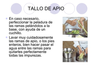 TALLO DE APIO En caso necesario, perfeccionar la peladura de las ramas pelándolos a la base, con ayuda de un cuchillo. Lavar muy cuidadosamente las ramas de apio, o los pies enteros, bien hacer pasar el agua entre las ramas para quitarles perfectamente todas las impurezas.  
