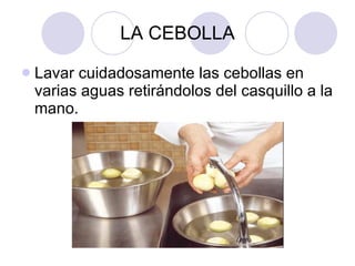 LA CEBOLLA Lavar cuidadosamente las cebollas en varias aguas retirándolos del casquillo a la mano.  