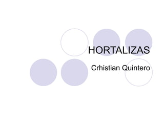HORTALIZAS Crhistian Quintero 