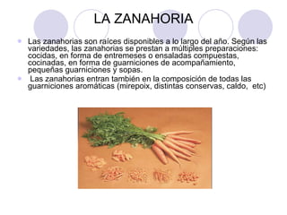 LA ZANAHORIA Las zanahorias son raíces disponibles a lo largo del año. Según las variedades, las zanahorias se prestan a múltiples preparaciones: cocidas, en forma de entremeses o ensaladas compuestas, cocinadas, en forma de guarniciones de acompañamiento, pequeñas guarniciones y sopas. Las zanahorias entran también en la composición de todas las guarniciones aromáticas (mirepoix, distintas conservas, caldo,  etc) 