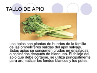 TALLO DE APIO Los apios son plantas de huertos de la familia de las ombellifères salidas del apio salvaje. Estos apios se consumen crudos en ensaladas, o cocinados después de blanqueo. El follaje del apio que debe cortarse, se utiliza principalmente para aromatizar los fondos blancos y los potes.  
