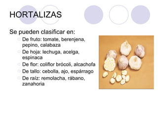 HORTALIZAS Se pueden clasificar en: De fruto: tomate, berenjena, pepino, calabaza De hoja: lechuga, acelga, espinaca De flor: coliflor brócoli, alcachofa De tallo: cebolla, ajo, espárrago De raíz: remolacha, rábano, zanahoria 