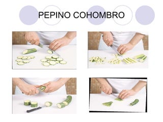 PEPINO COHOMBRO 