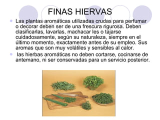 FINAS HIERVAS Las plantas aromáticas utilizadas crudas para perfumar o decorar deben ser de una frescura rigurosa. Deben clasificarlas, lavarlas, machacar les o tajarse cuidadosamente, según su naturaleza, siempre en el último momento, exactamente antes de su empleo. Sus aromas que son muy volátiles y sensibles al calor. las hierbas aromáticas no deben cortarse, cocinarse de antemano, ni ser conservadas para un servicio posterior.  