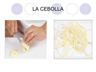 LA CEBOLLA 