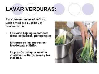 LAVAR VERDURAS: Para obtener un lavado eficaz,  varios métodos pueden Ser contempladas. El lavado bajo agua corriente (para los puerros, por Ejemplo)  El tronco de los puerros es lavado bajo el Grifo.  La presión del agua arrastra  eficazmente Tierra, arena y los insectos. 