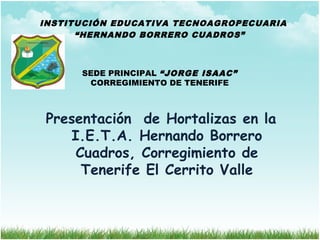 INSTITUCIÓN EDUCATIVA TECNOAGROPECUARIA
“HERNANDO BORRERO CUADROS”
SEDE PRINCIPAL “JORGE ISAAC”
CORREGIMIENTO DE TENERIFE
Presentación de Hortalizas en la
I.E.T.A. Hernando Borrero
Cuadros, Corregimiento de
Tenerife El Cerrito Valle
 