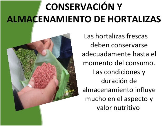 Resultado de imagen para CONSERVACION ALMACENAMIENTO DE LAS HORTALIZASÃ
