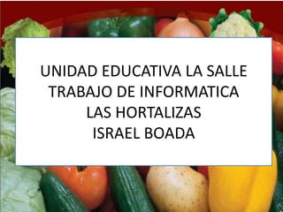 UNIDAD EDUCATIVA LA SALLE
 TRABAJO DE INFORMATICA
     LAS HORTALIZAS
      ISRAEL BOADA
 