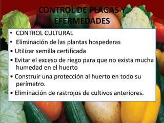 CONTROL DE PLAGAS Y
             EFERMEDADES
• CONTROL CULTURAL
• Eliminación de las plantas hospederas
• Utilizar semilla certificada
• Evitar el exceso de riego para que no exista mucha
  humedad en el huerto
• Construir una protección al huerto en todo su
  perímetro.
• Eliminación de rastrojos de cultivos anteriores.
 