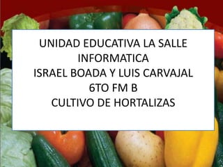 UNIDAD EDUCATIVA LA SALLE
        INFORMATICA
ISRAEL BOADA Y LUIS CARVAJAL
          6TO FM B
   CULTIVO DE HORTALIZAS
 