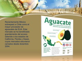 Recientemente México
sobrepasó a Chile como el
mayor proveedor de
aguacates de EUA. Este
mercado se ha beneficiado
grandemente del acceso
obtenido a los estados de
California, Florida y Hawai,
cuyos mercados estuvieron
cerrados desde diciembre
2004.
 