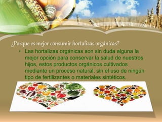 ¿Porque es mejor consumir hortalizas orgánicas?
• Las hortalizas orgánicas son sin duda alguna la
mejor opción para conservar la salud de nuestros
hijos, estos productos orgánicos cultivados
mediante un proceso natural, sin el uso de ningún
tipo de fertilizantes o materiales sintéticos.
 