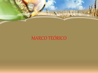 MARCO TEÓRICO
 