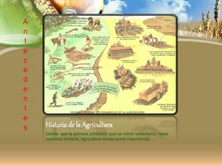 Historia de la Agricultura
Desde que la primera población que se volvió sedentaria, hasta
nuestros tiempos, agricultura desde suma importancia.
A
n
t
e
c
e
d
e
n
t
e
s
 