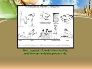 Nos ha proporcionado alimentación,
vestido y herramientas para la vida.
 