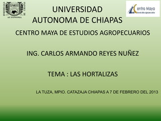 UNIVERSIDAD
    AUTONOMA DE CHIAPAS
CENTRO MAYA DE ESTUDIOS AGROPECUARIOS

   ING. CARLOS ARMANDO REYES NUÑEZ

          TEMA : LAS HORTALIZAS

     LA TUZA, MPIO. CATAZAJA CHIAPAS A 7 DE FEBRERO DEL 2013
 