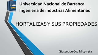 HORTALIZASY SUS PROPIEDADES
Universidad Nacional de Barranca
Ingeniería de industrias Alimentarias
Giusseppe Coz Mispireta
 