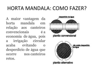 HORTA MANDALA: COMO FAZER? 
A maior vantagem da 
horta mandala em 
relação aos canteiros 
convencionais é a 
economia de água, pois 
a irrigação circular 
acaba evitando o 
desperdício de água que 
ocorre nos canteiros 
retos. 
 