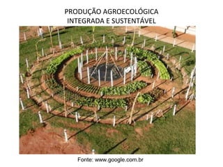 PRODUÇÃO AGROECOLÓGICA 
INTEGRADA E SUSTENTÁVEL 
Fonte: www.google.com.br 
 