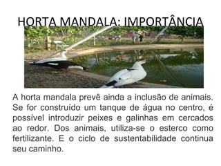 HORTA MANDALA: IMPORTÂNCIA 
A horta mandala prevê ainda a inclusão de animais. 
Se for construído um tanque de água no centro, é 
possível introduzir peixes e galinhas em cercados 
ao redor. Dos animais, utiliza-se o esterco como 
fertilizante. E o ciclo de sustentabilidade continua 
seu caminho. 
 