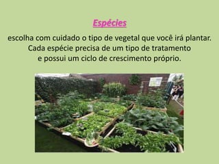 Espécies
escolha com cuidado o tipo de vegetal que você irá plantar.
Cada espécie precisa de um tipo de tratamento
e possui um ciclo de crescimento próprio.
 