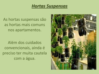 Hortas Suspensas
As hortas suspensas são
as hortas mais comuns
nos apartamentos.
Além dos cuidados
convencionais, ainda é
preciso ter muita cautela
com a água.
 